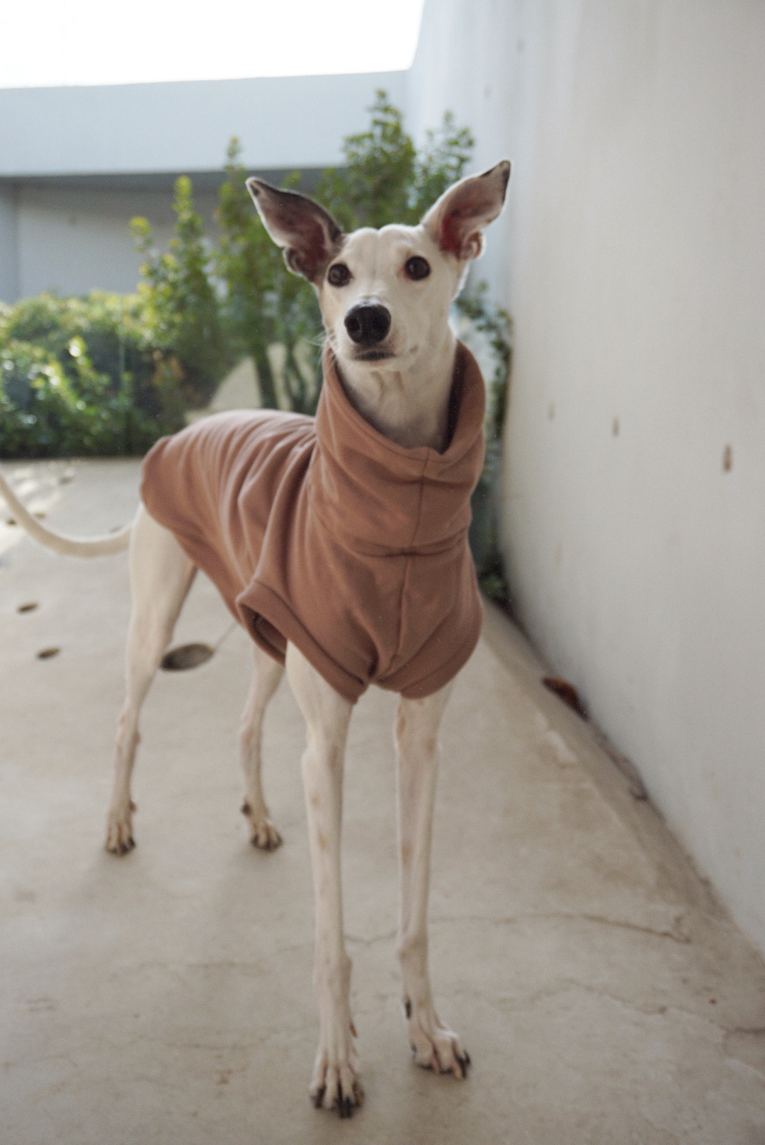 EDF5042B-DE9A-474A-A07A-1A9219893072